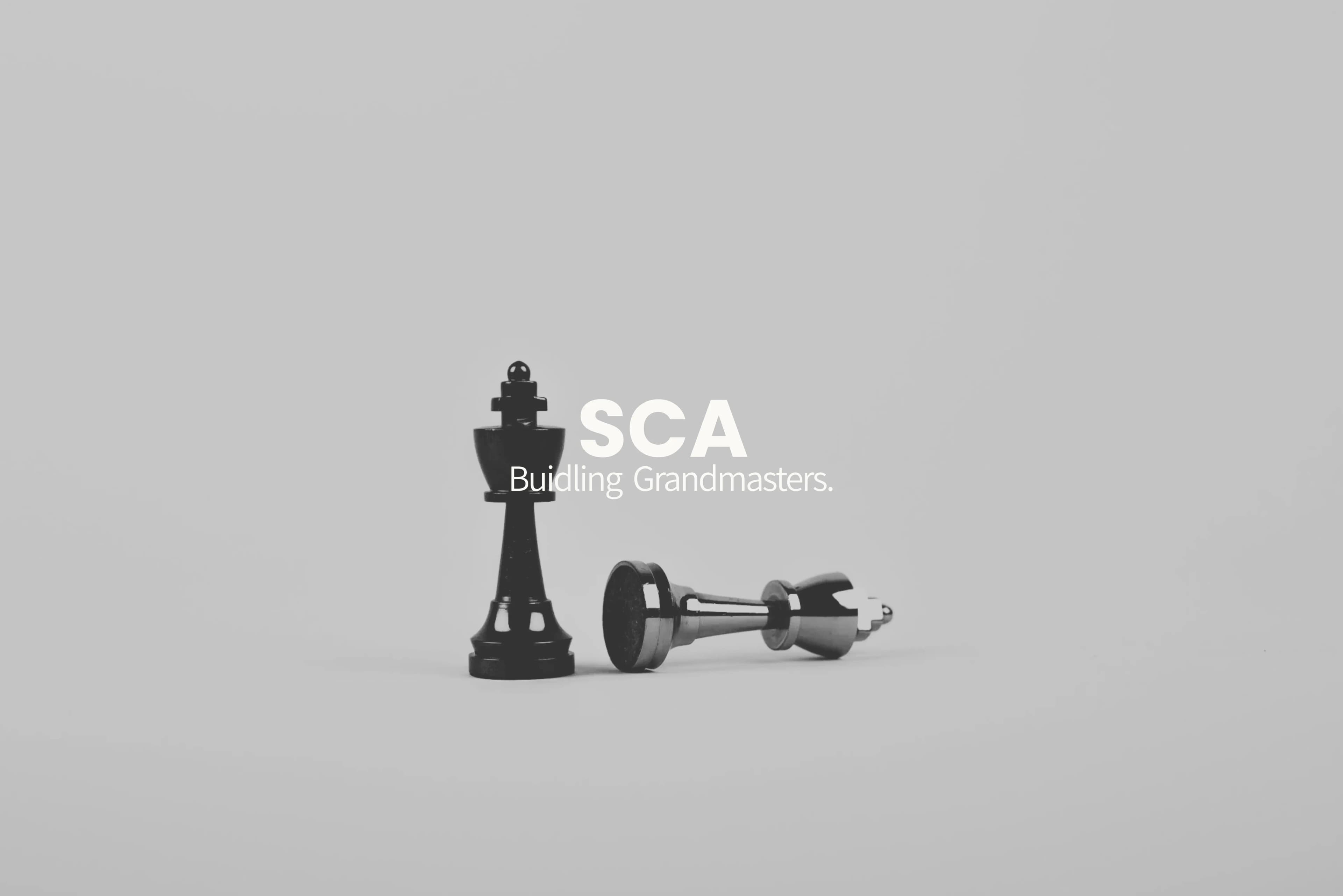 Srinivasan Chess Academy Image